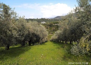 Terreno - Terreno agricolo via Farense, 254, Fara in Sabina - foto 1