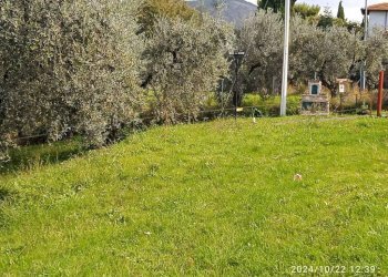 Terreno - Terreno agricolo via Farense, 254, Fara in Sabina - foto 2