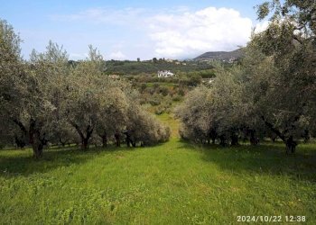 Terreno - Terreno agricolo via Farense, 254, Fara in Sabina - foto 4