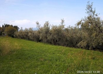 Terreno - Terreno agricolo via Farense, 254, Fara in Sabina - foto 5
