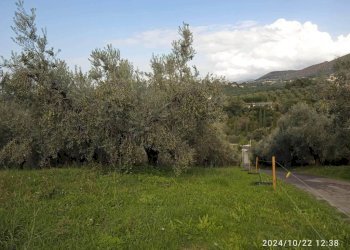 Terreno - Terreno agricolo via Farense, 254, Fara in Sabina - foto 6