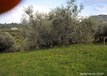 Terreno - Terreno agricolo via Farense, 254, Fara in Sabina - foto 8