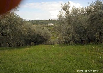 Terreno - Terreno agricolo via Farense, 254, Fara in Sabina - foto 9