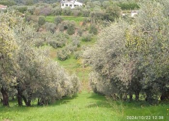 Terreno - Terreno agricolo via Farense, 254, Fara in Sabina - foto 10