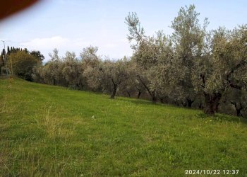 Terreno - Terreno agricolo via Farense, 254, Fara in Sabina - foto 11