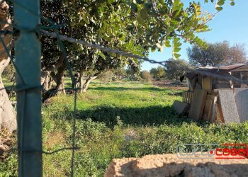 Casa indipendente Scicli - foto 5