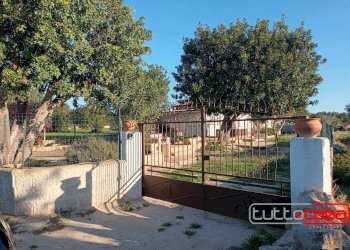 Casa indipendente Scicli - foto 8