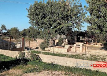 Casa indipendente Scicli - foto 9