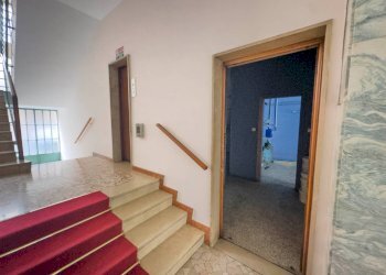 Shop Via Pietro Giuria, Torino (neighborhood San Salvario) - photo 5