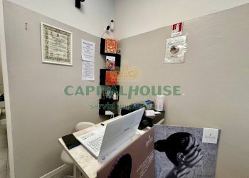 Attività Commerciale Bologna (zona San Donato) - foto 10