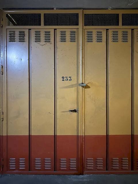 Box Via Torrazza Piemonte, Torino (zona Mirafiori Sud) - foto 3