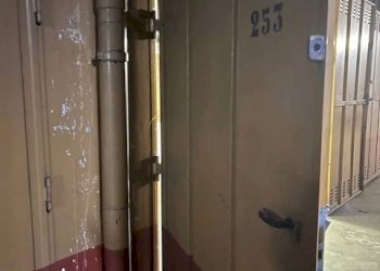 Box Via Torrazza Piemonte, Torino (zona Mirafiori Sud) - foto 6