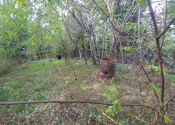 porzione Montecorone (25).jpg - Porzione di casa Via Dei Bononcini 170, Zocca - foto 24