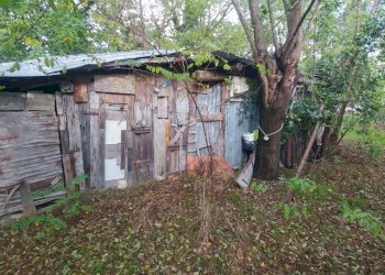 porzione Montecorone (26).jpg - Porzione di casa Via Dei Bononcini 170, Zocca - foto 25