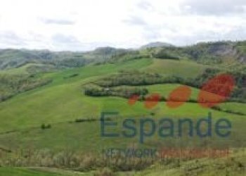 Rustico Pianoro - foto 5