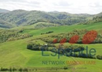 Rustico Pianoro - foto 6