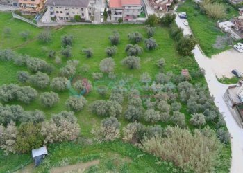 TERRENO - Agricultural land Contrada Santo Stefano 80, Silvi - photo 4
