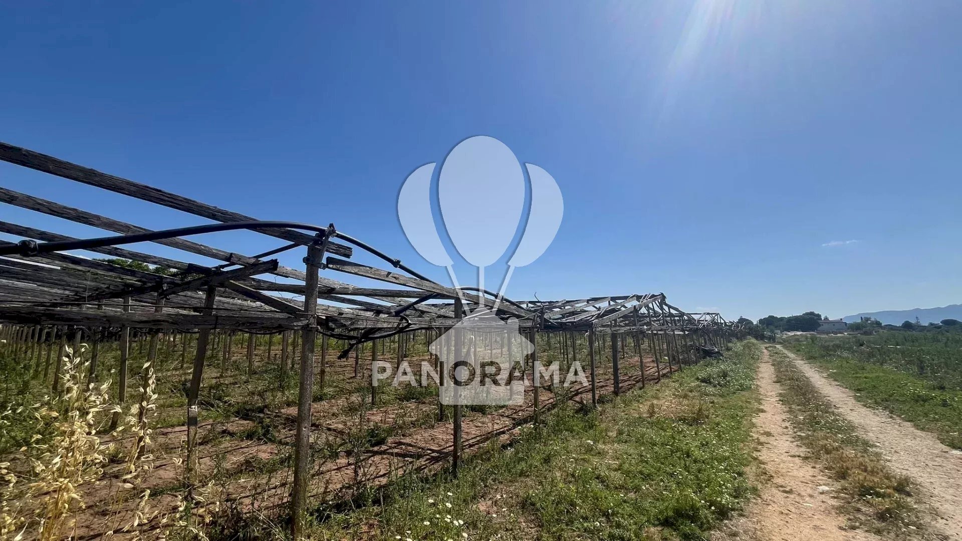 Agricultural land Balestrate - photo 1