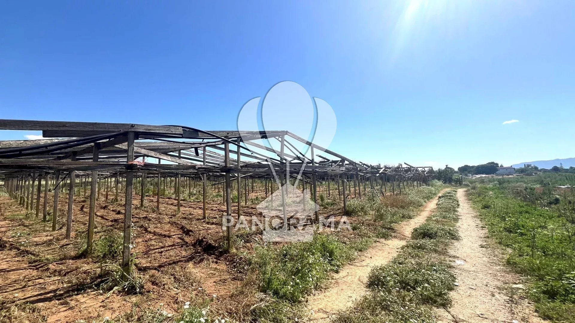 Agricultural land Balestrate - photo 2