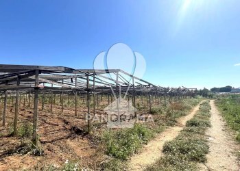 Terreno agricolo Balestrate - foto 2