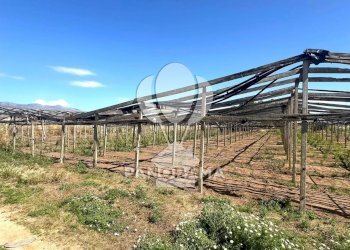 Terreno agricolo Balestrate - foto 9