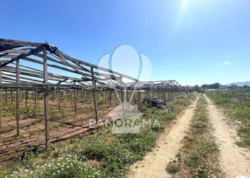 Terreno agricolo Balestrate - foto 12