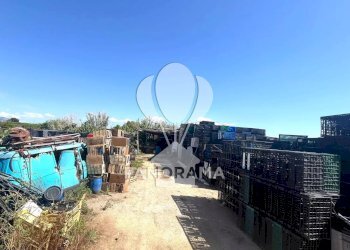 Terreno agricolo Balestrate - foto 17