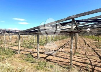 Terreno agricolo Balestrate - foto 18