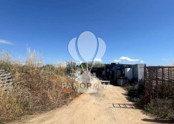 Terreno agricolo Balestrate - foto 21