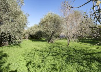Villa Bifamiliare Via San Simplicio, n., Sassari - foto 14