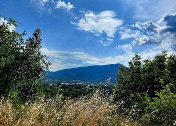 Casa indipendente via Roma, 28, Sessano del Molise - foto 11