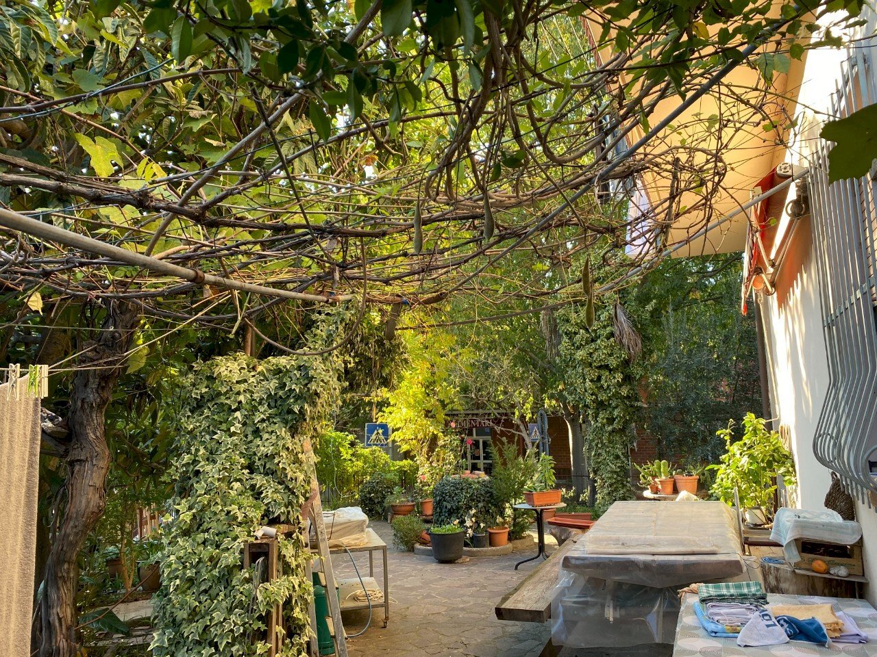 Casa indipendente Bertinoro - foto 2