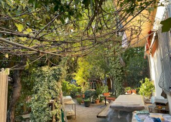 Casa indipendente Bertinoro - foto 2