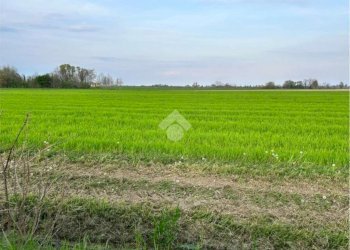 Terreno edificabile Via Bacchelli Riccardo, Molinella - foto 5