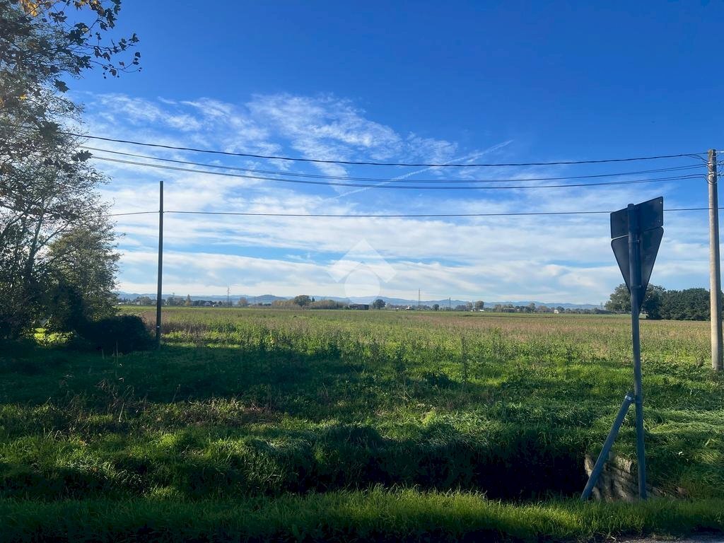 Terreno agricolo Via Nuova, Ravenna - foto 3