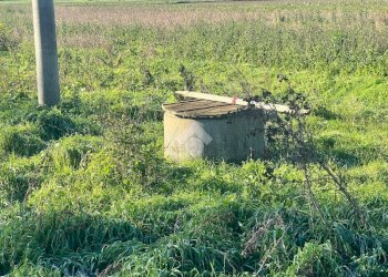 Agricultural land Via Nuova, Ravenna - photo 5