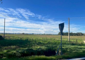 Agricultural land Via Nuova, Ravenna - photo 6