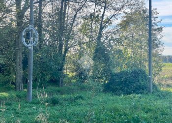 Agricultural land Via Nuova, Ravenna - photo 7