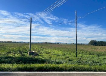 Agricultural land Via Nuova, Ravenna - photo 8
