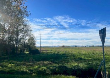 Agricultural land Via Nuova, Ravenna - photo 9