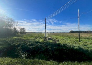 Agricultural land Via Nuova, Ravenna - photo 10
