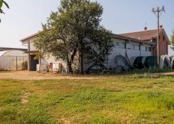 Agricultural land strada tetti berta, Vinovo - photo 9