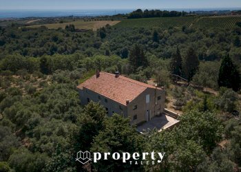 Rustic Contrada Quercia ferrrata, Ripatransone - photo 10