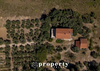 Rustic Contrada Quercia ferrrata, Ripatransone - photo 13