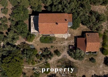 Rustic Contrada Quercia ferrrata, Ripatransone - photo 14