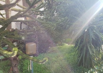 Single Family Villa Caudina, Maddaloni - photo 9