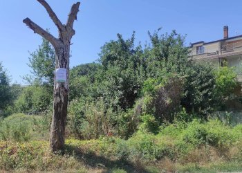 Terreno edificabile via Dario Russo, Caserta - foto 3