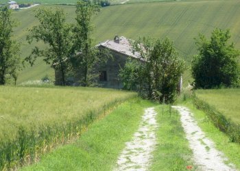 Terreno - Rustico via San Giovanni, 11, Polverigi - foto 5