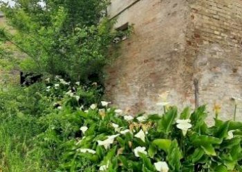 Terreno - Rustico via San Giovanni, 11, Polverigi - foto 6