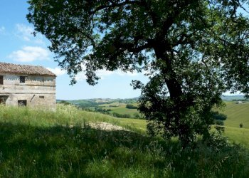 Terreno - Rustico via San Giovanni, 11, Polverigi - foto 8